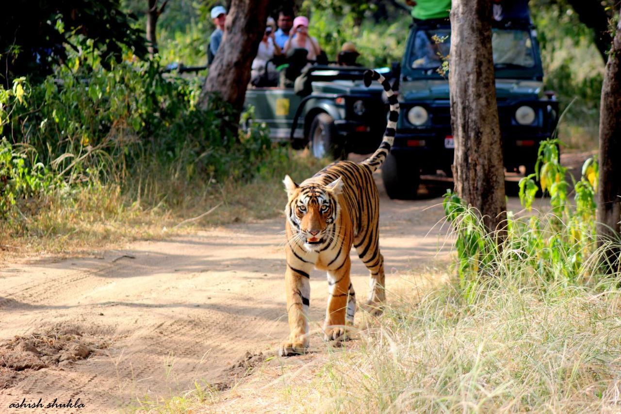 The Fern Ranthambore Forest Resort Rajasthan Sawai Madhopur Exterior foto